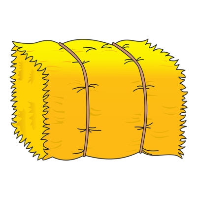 ay worksheets and resources