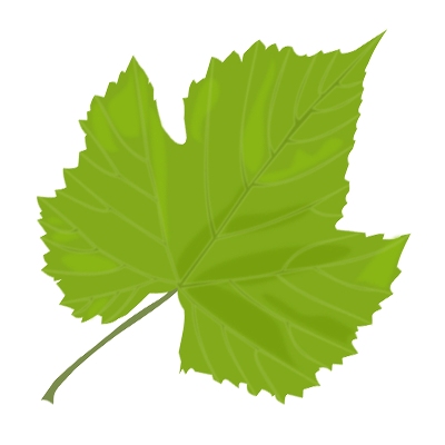 ea worksheets and resources