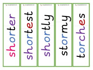 or root word cards (other)