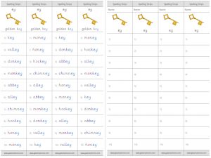 ey spelling strips